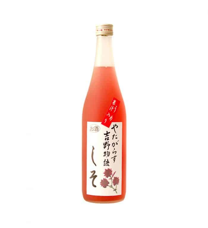 YATAGARASU YOSHINO MONOGATARI SHISO 1 - Umeshuthai 梅酒タイ ร้านขายเหล้าบ๊วย และเหล้าผลไม้