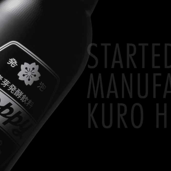 KURO HOPPY 2 - Umeshuthai 梅酒タイ ร้านขายเหล้าบ๊วย และเหล้าผลไม้