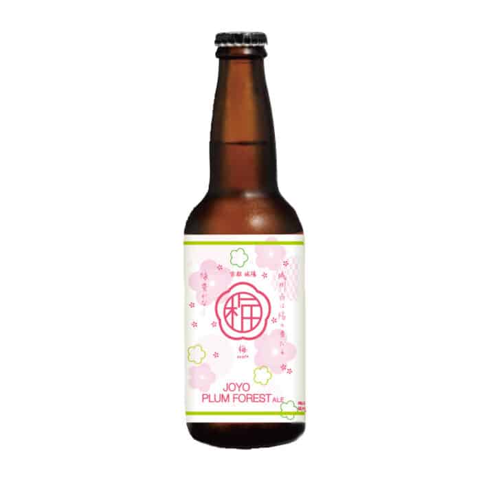 JOYO PLUM FOREST ALE 1-1