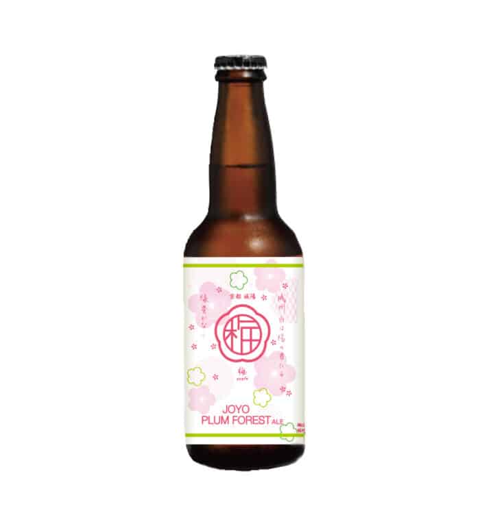 JOYO PLUM FOREST ALE 1-1